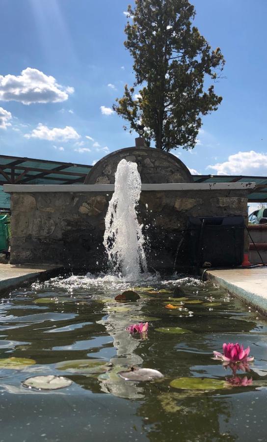 Podere Il Sasso Барберино ди Мугело Екстериор снимка