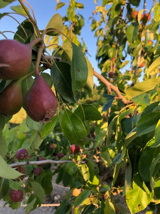 Podere Il Sasso Барберино ди Мугело Екстериор снимка