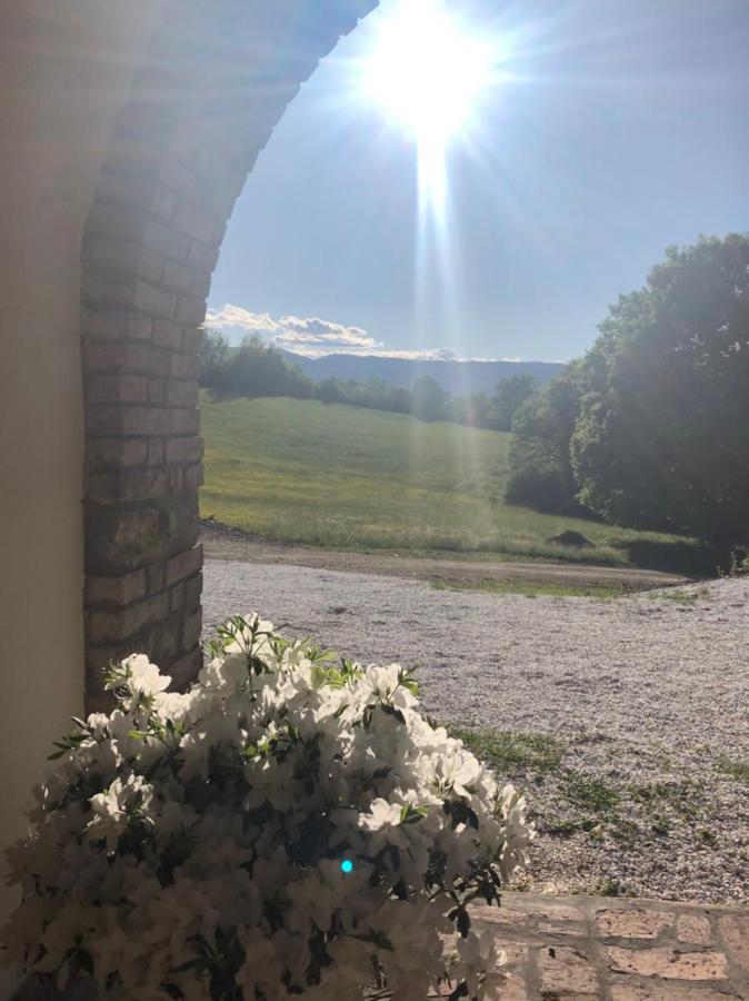 Podere Il Sasso Барберино ди Мугело Екстериор снимка
